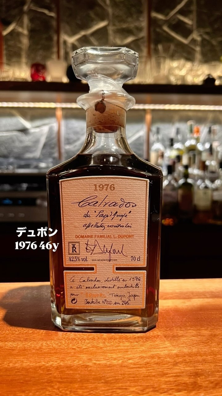 バーショーブルックラディー2006 バーショーブルックラディー2006